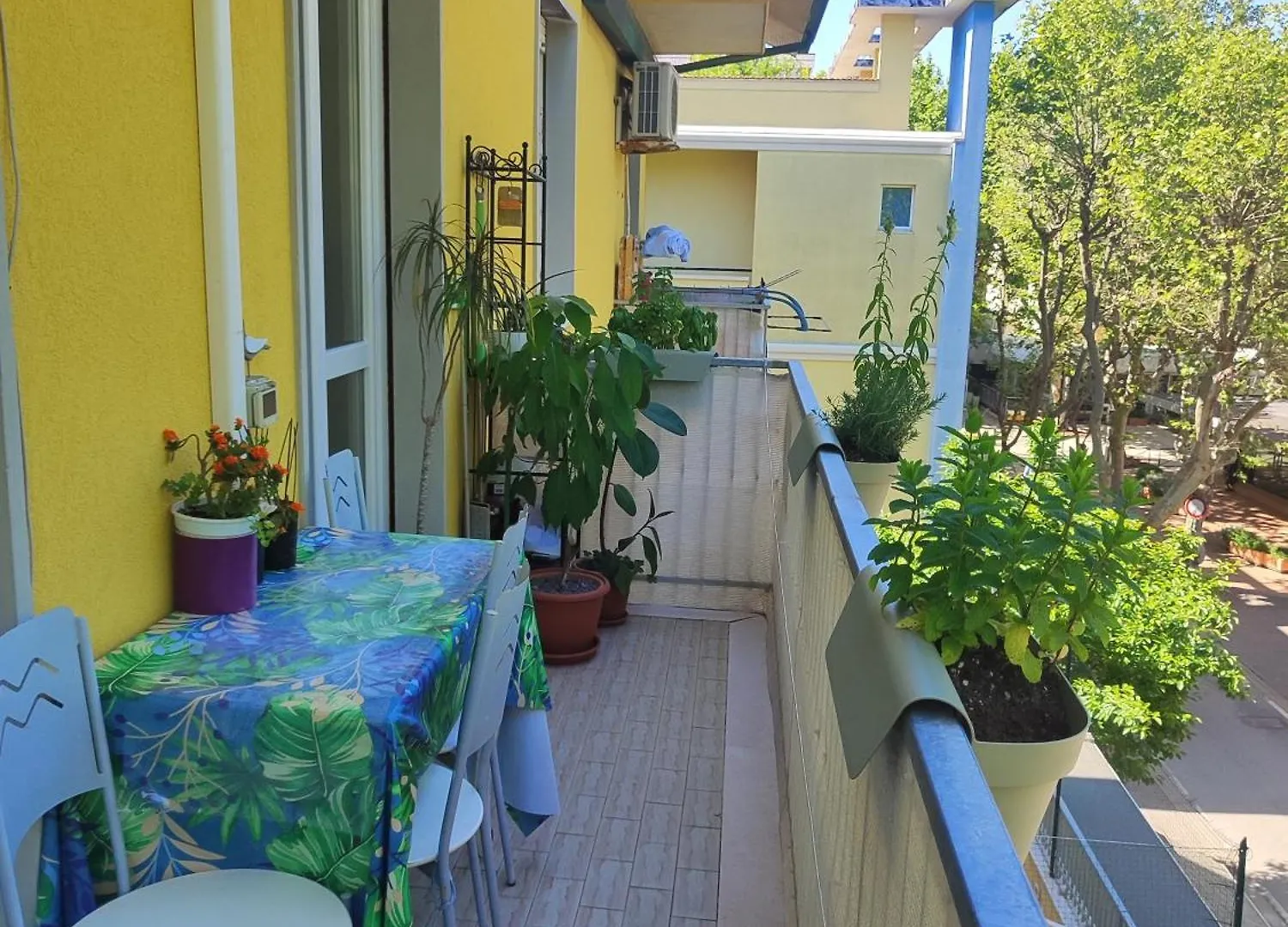 Guest House Apartment Bellaria-Igea Marina Bed & Breakfast