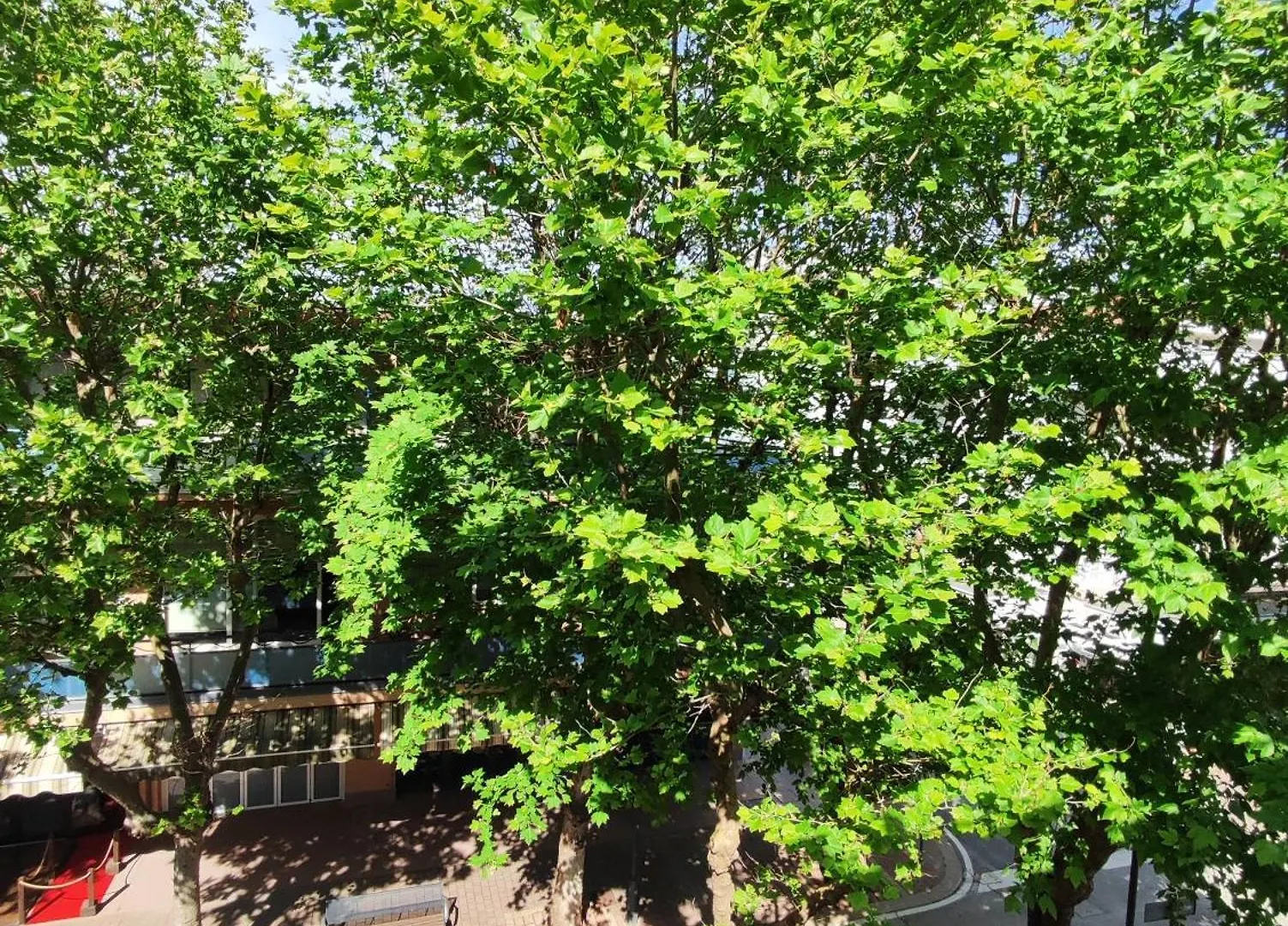 住宿加早餐酒店 Guest House Apartment 贝拉里亚-伊贾马里纳